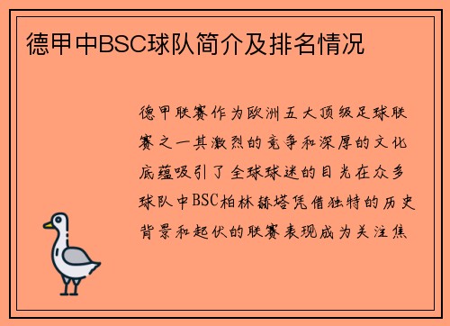 德甲中BSC球队简介及排名情况